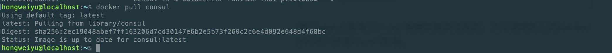 Docker安装consul环境